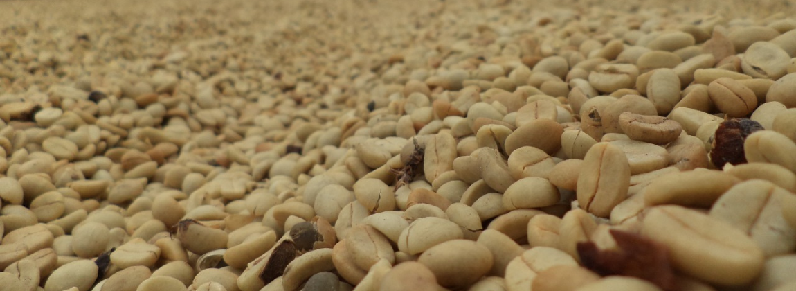 Montanhas do Espírito Santo 1