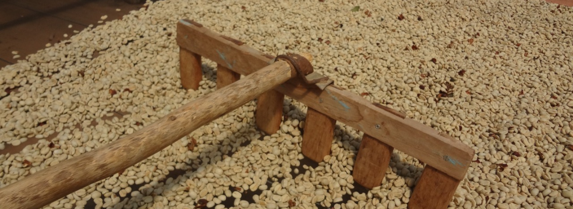 Montanhas do Espírito Santo 2