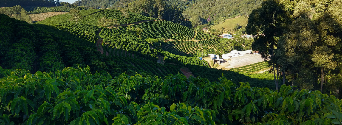 Montanhas do Espírito Santo 3