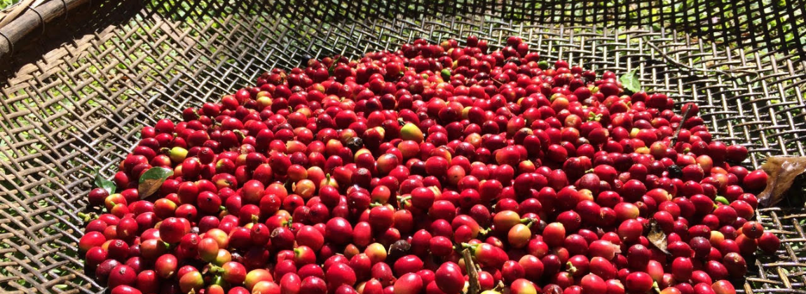 Montanhas do Espírito Santo 4