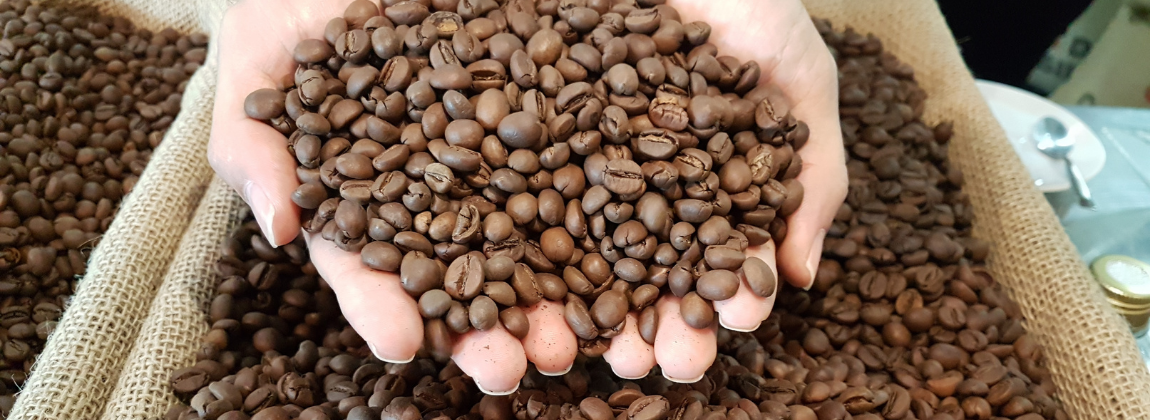 Matas de Rondônia 4