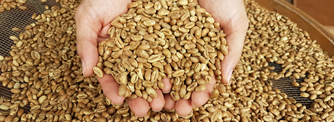 Matas de Rondônia 5