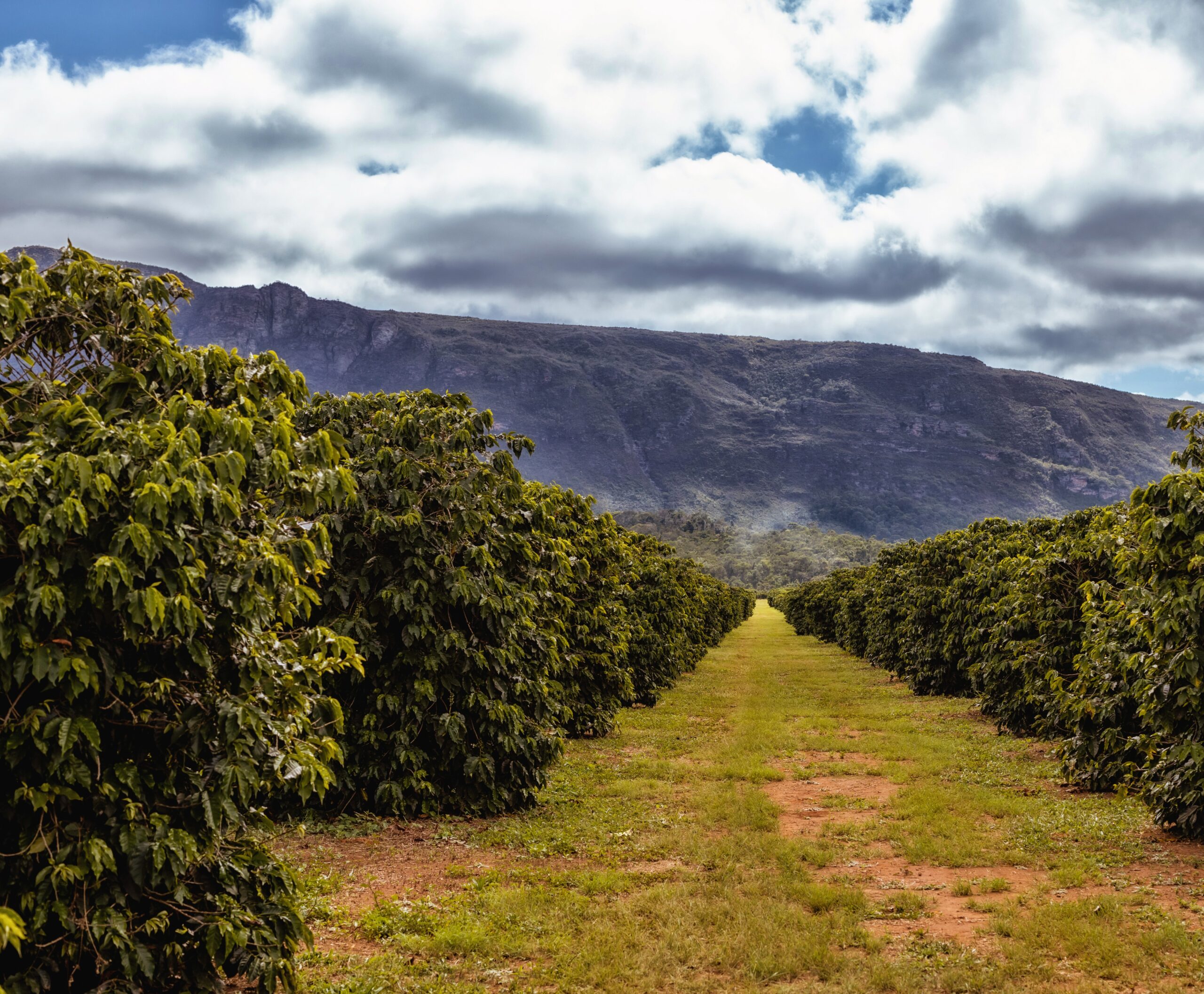 Chapada Diamantina 1