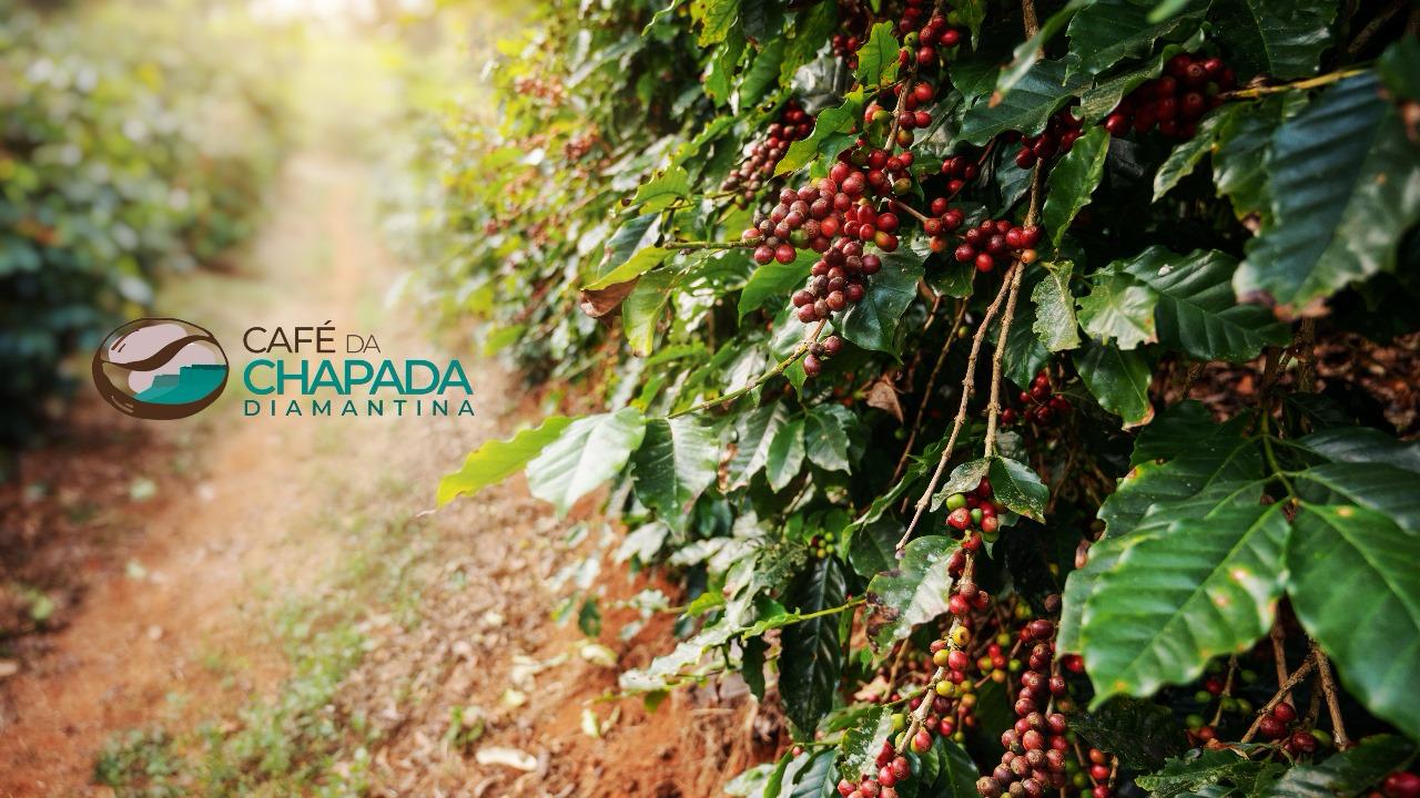 Chapada Diamantina 3