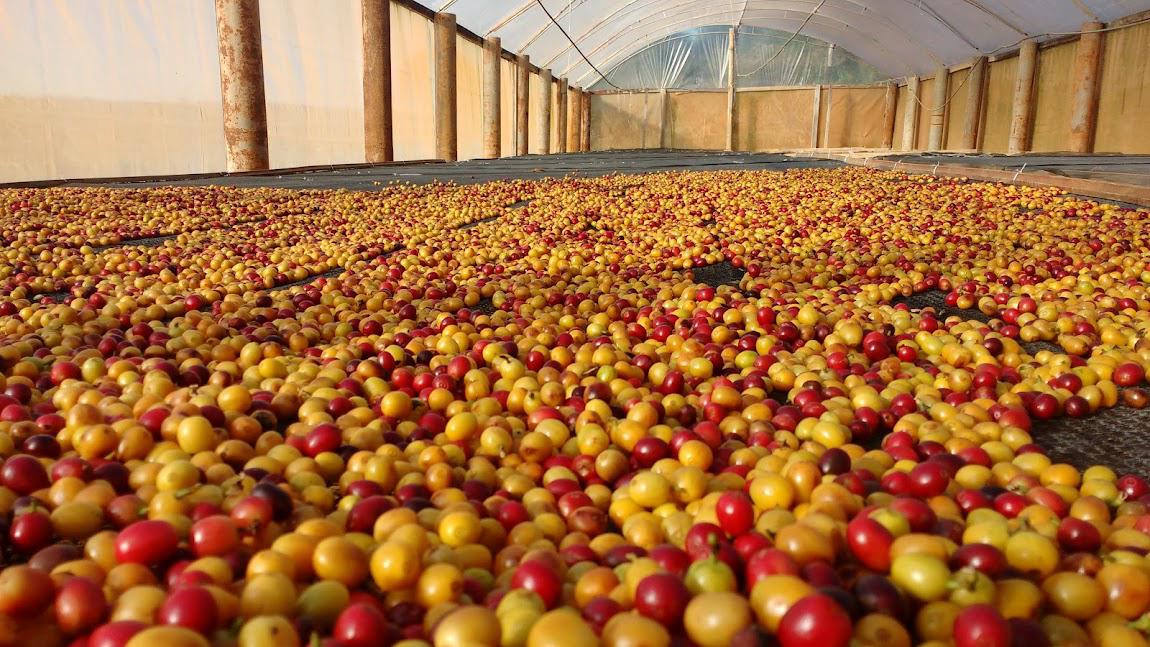 Chapada Diamantina 4