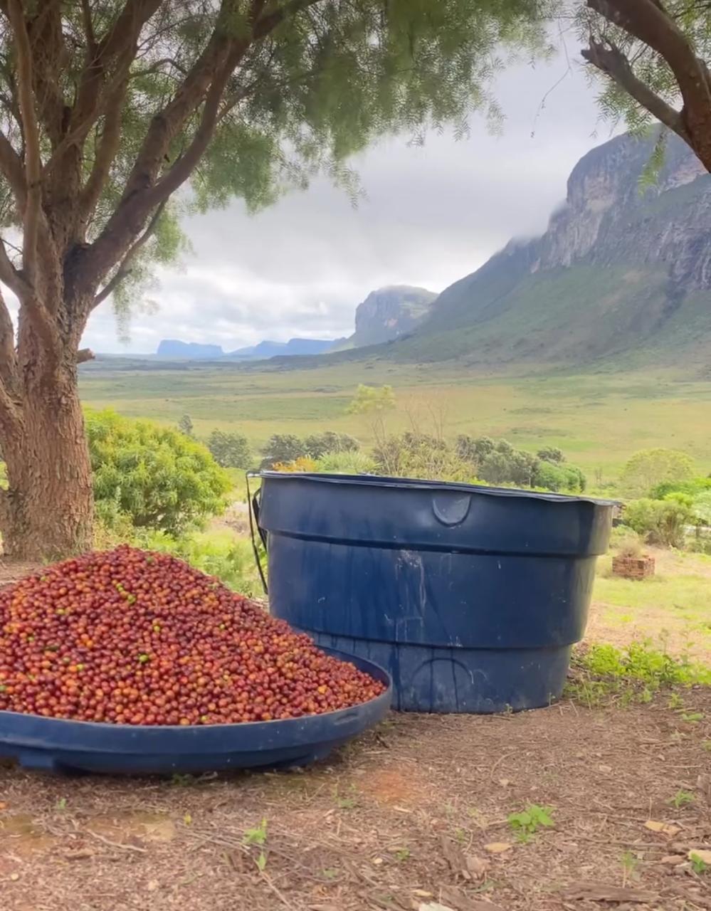 Chapada Diamantina 5