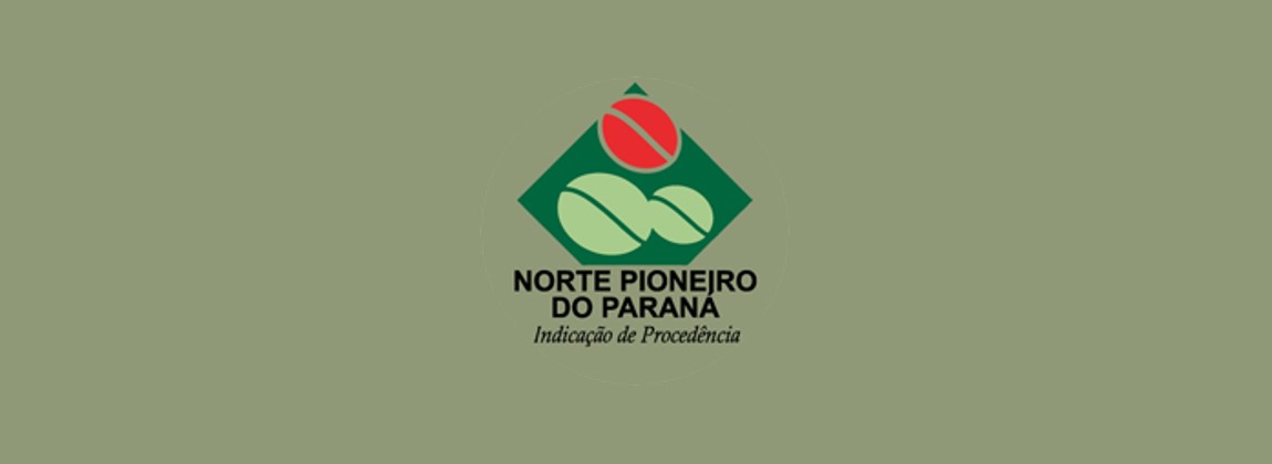 Norte Pioneiro do Paraná 6