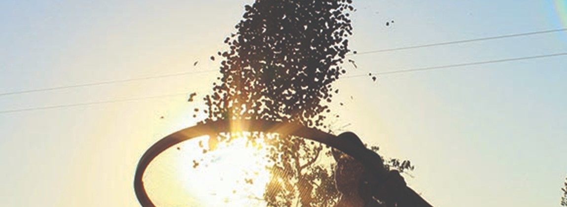 Norte Pioneiro do Paraná 5