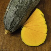 Loche de Lambayeque 1