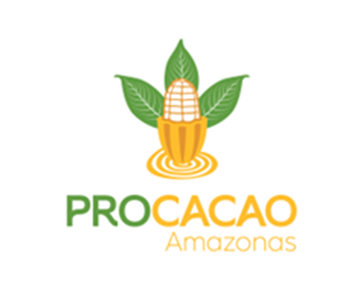 Cacao Amazonas Perú 2